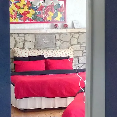 Narcicegi *