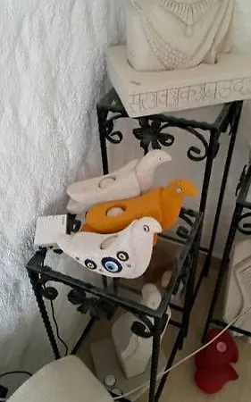 Narcicegi *
