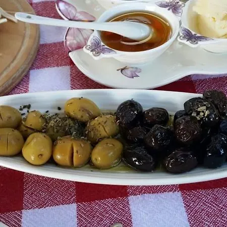 Narcicegi