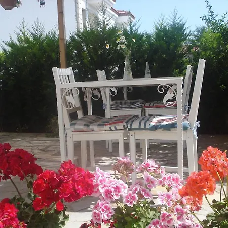 Narcicegi فندق *