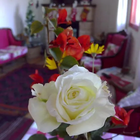 Narcicegi Hotel
