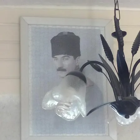 Narcicegi ألاتشاتي