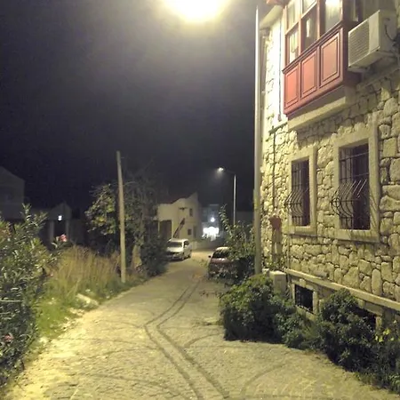 Narcicegi * ألاتشاتي