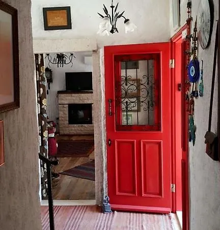 Narcicegi فندق *
