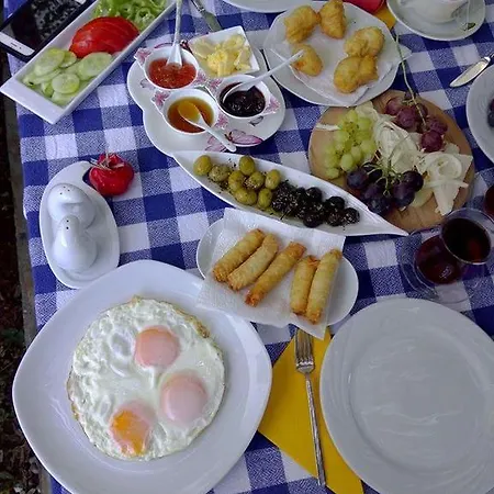 Narcicegi فندق *